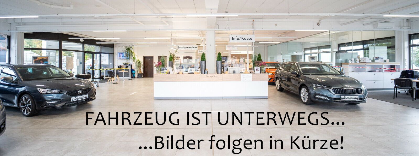 CUPRA Leon Sportstourer 1.5 TSI DSG AHK XL PANO