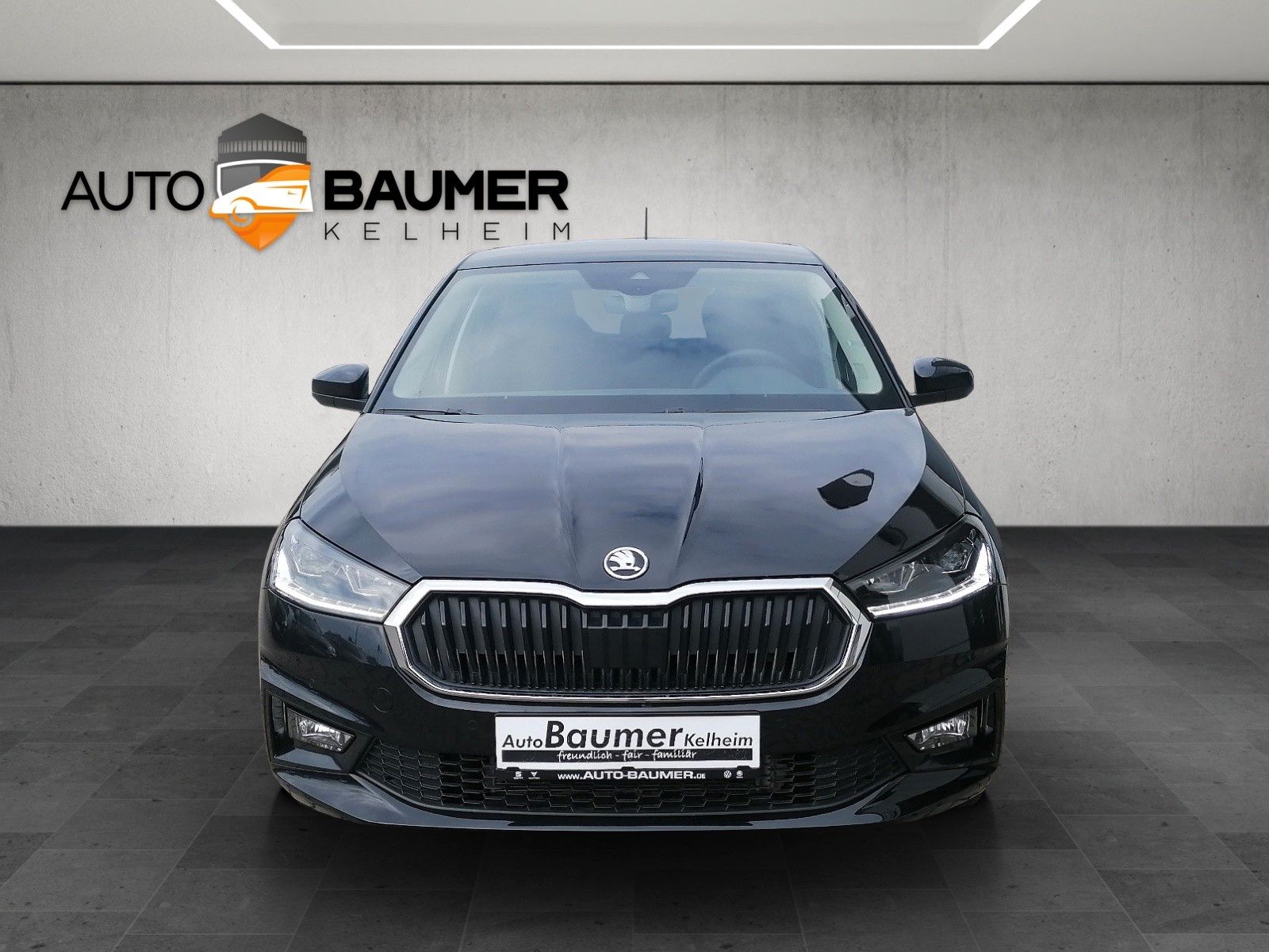 Fahrzeugabbildung SKODA Fabia 1.0 TSI DSG Tour AHK ACC NAVI KAMERA